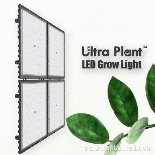 Lámparas de cultivo LED Deep Red Spectrum para verduras